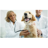 telefone de clínica veterinária próxima Monte Carmelo