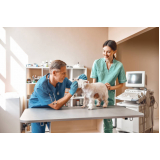 Ultrassom Odontológico Veterinário