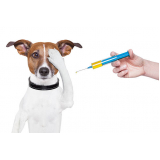 vacina contra raiva para cachorro agendar Condomínio Veigas