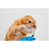 vacina de raiva gato agendar Anhanguera