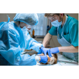 valor de cirurgia para cães e gatos São Caetano do Sul