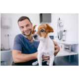 veterinário próximo Tanque Grande