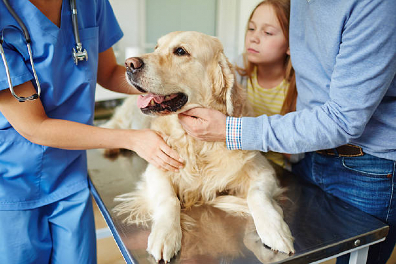 Vacina Antipulga e Carrapato para Cachorro Brás - Vacina Antipulga